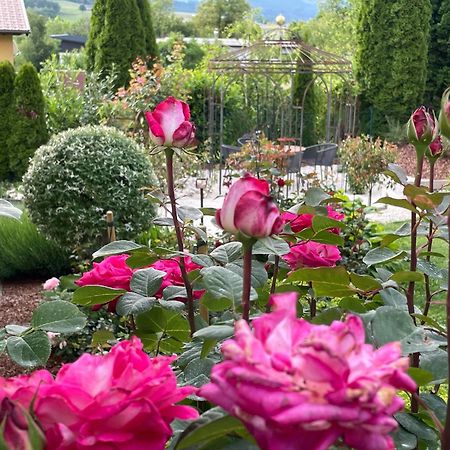 Bed And Breakfast Mittelkaernten Althofen  ภายนอก รูปภาพ