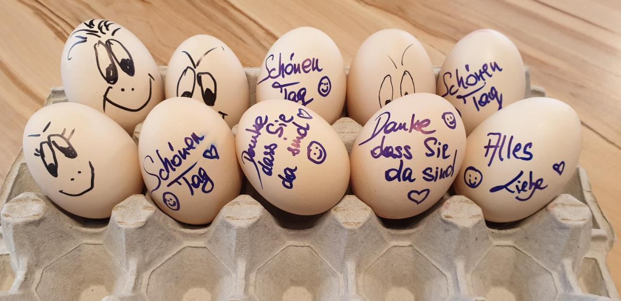 Bed And Breakfast Mittelkaernten Althofen  ภายนอก รูปภาพ