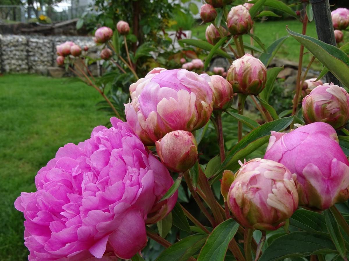 Bed And Breakfast Mittelkaernten Althofen  ภายนอก รูปภาพ