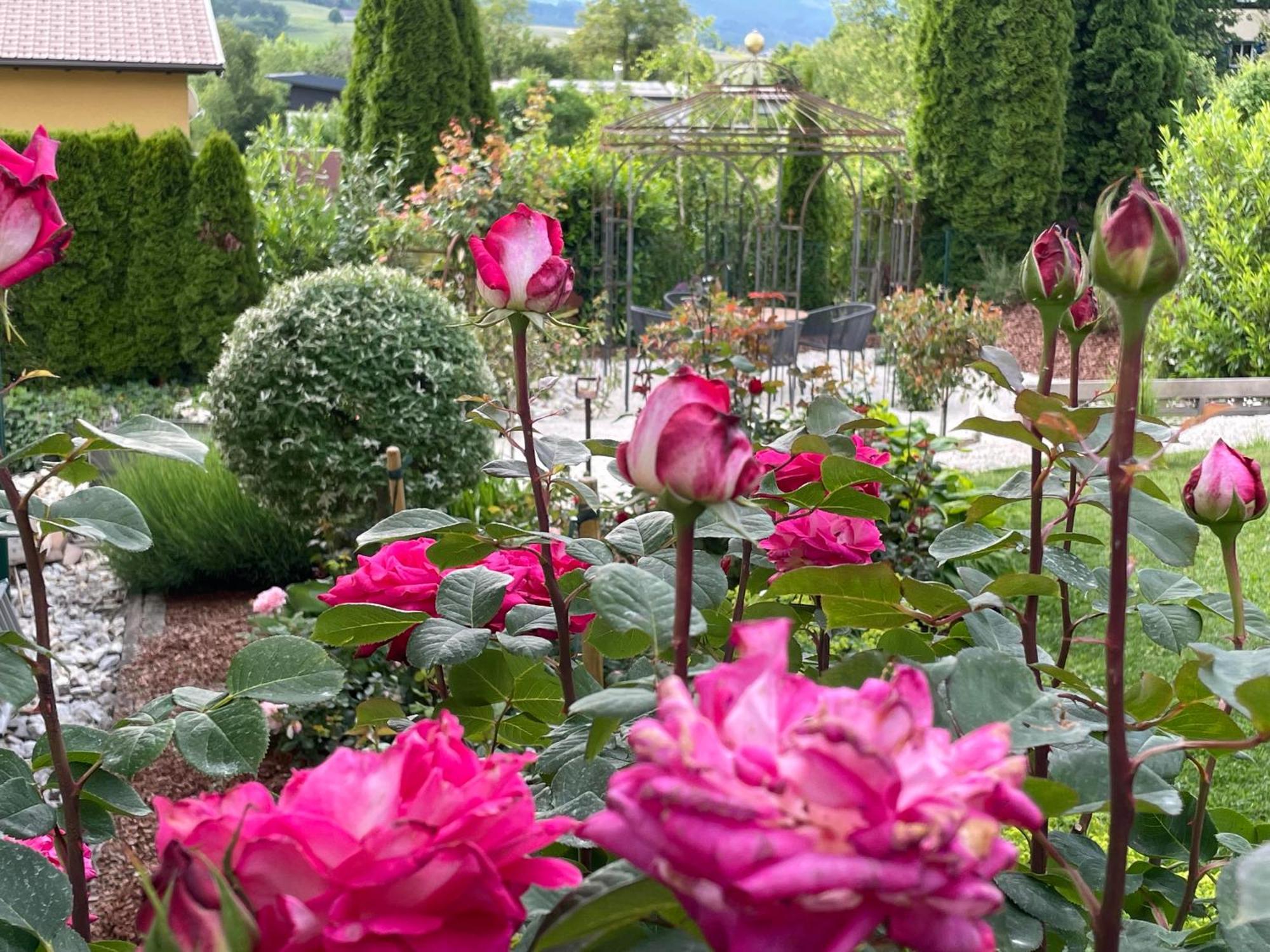 Bed And Breakfast Mittelkaernten Althofen  ภายนอก รูปภาพ