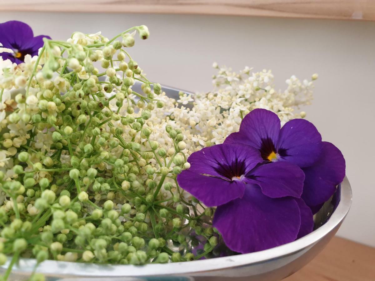 Bed And Breakfast Mittelkaernten Althofen  ภายนอก รูปภาพ