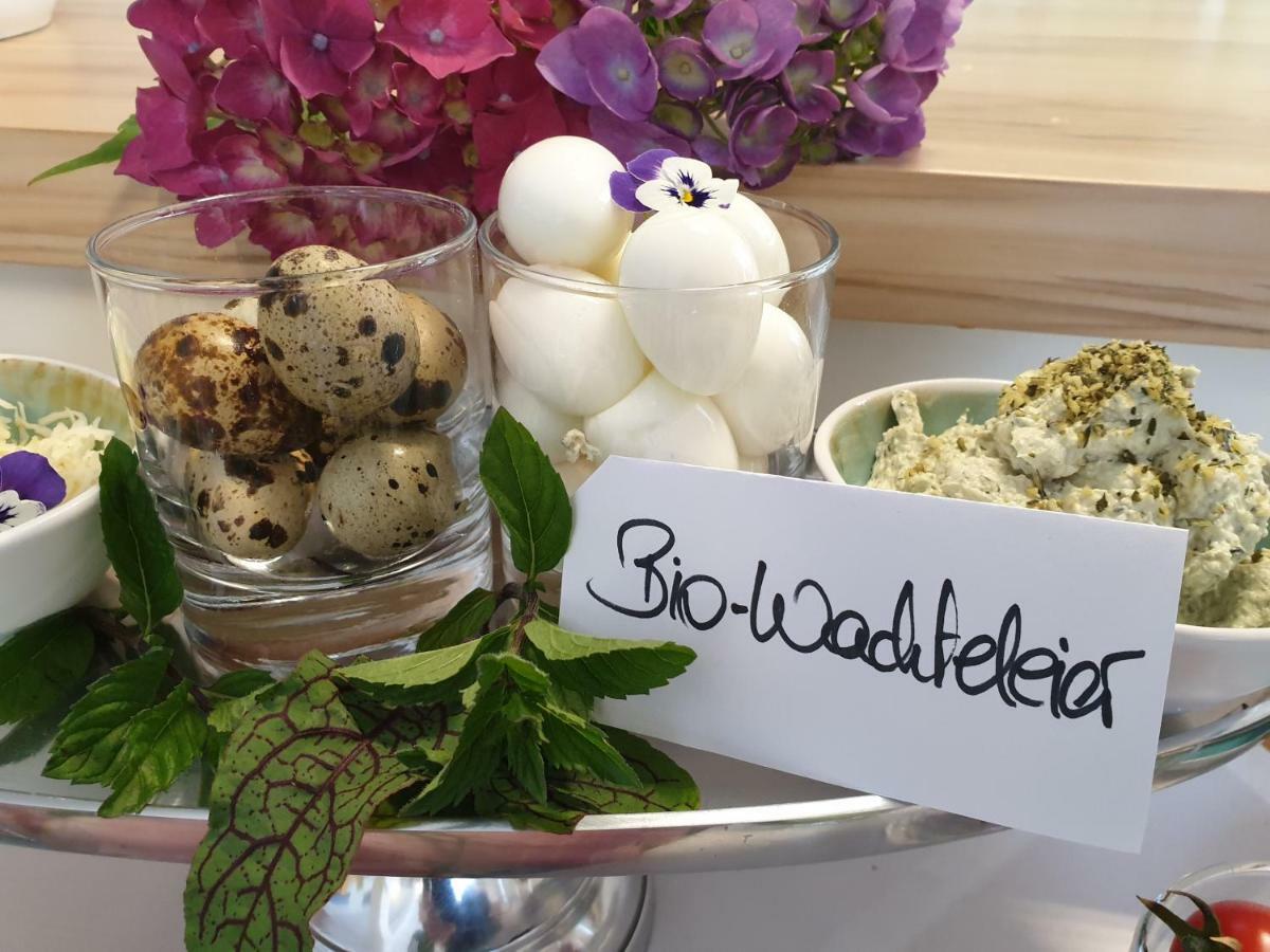Bed And Breakfast Mittelkaernten Althofen  ภายนอก รูปภาพ